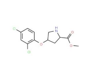 Methyl (2S,4S)-4-(2,4-dichlorophenoxy)-2-pyrrolidinecarboxylate - chemical structure image