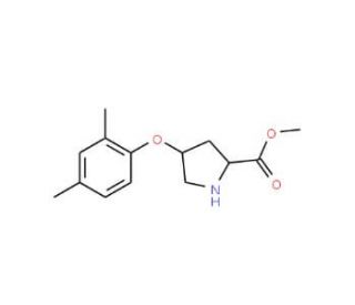 Methyl (2S,4S)-4-(2,4-dimethylphenoxy)-2-pyrrolidinecarboxylate - chemical structure image
