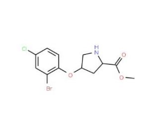 Methyl (2S,4S)-4-(2-bromo-4-chlorophenoxy)-2-pyrrolidinecarboxylate - chemical structure image
