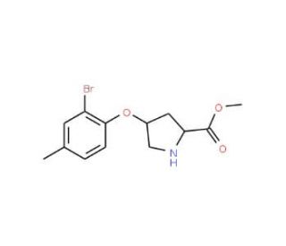 Methyl (2S,4S)-4-(2-bromo-4-methylphenoxy)-2-pyrrolidinecarboxylate - chemical structure image