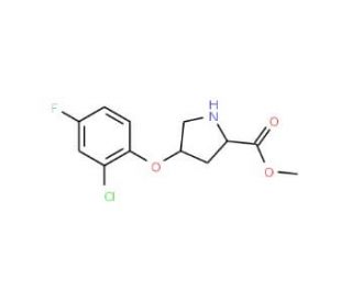 Methyl (2S,4S)-4-(2-chloro-4-fluorophenoxy)-2-pyrrolidinecarboxylate - chemical structure image