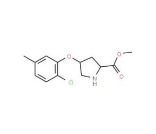 Methyl (2S,4S)-4-(2-chloro-5-methylphenoxy)-2-pyrrolidinecarboxylate - chemical structure image