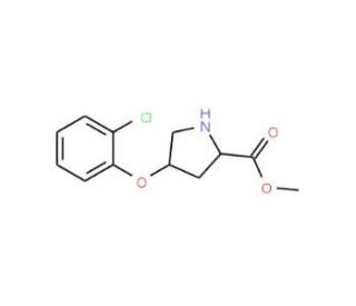Methyl (2S,4S)-4-(2-chlorophenoxy)-2-pyrrolidinecarboxylate - chemical structure image
