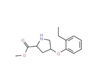Methyl (2S,4S)-4-(2-ethylphenoxy)-2-pyrrolidinecarboxylate - chemical structure image