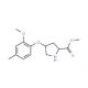 Methyl (2S,4S)-4-(2-methoxy-4-methylphenoxy)-2-pyrrolidinecarboxylate - chemical structure image