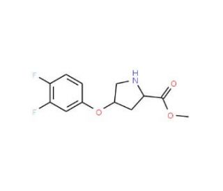 Methyl (2S,4S)-4-(3,4-difluorophenoxy)-2-pyrrolidinecarboxylate - chemical structure image