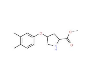 Methyl (2S,4S)-4-(3,4-dimethylphenoxy)-2-pyrrolidinecarboxylate - chemical structure image