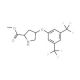 Methyl (2S,4S)-4-[3,5-bis(trifluoromethyl)-phenoxy]-2-pyrrolidinecarboxylate - chemical structure image
