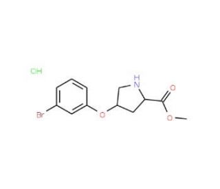 Methyl (2S,4S)-4-(3-bromophenoxy)-2-pyrrolidinecarboxylate hydrochloride - chemical structure image