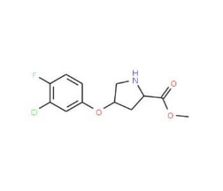 Methyl (2S,4S)-4-(3-chloro-4-fluorophenoxy)-2-pyrrolidinecarboxylate - chemical structure image