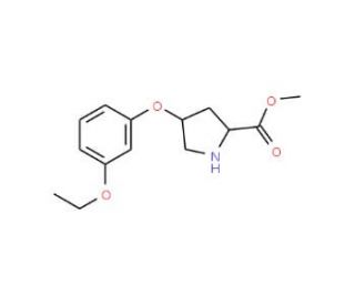 Methyl (2S,4S)-4-(3-ethoxyphenoxy)-2-pyrrolidinecarboxylate - chemical structure image