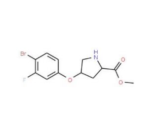 Methyl (2S,4S)-4-(4-bromo-3-fluorophenoxy)-2-pyrrolidinecarboxylate - chemical structure image