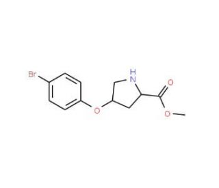 Methyl (2S,4S)-4-(4-bromophenoxy)-2-pyrrolidinecarboxylate - chemical structure image