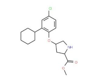 Methyl (2S,4S)-4-(4-chloro-2-cyclohexylphenoxy)-2-pyrrolidinecarboxylate - chemical structure image