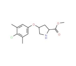 Methyl (2S,4S)-4-(4-chloro-3,5-dimethylphenoxy)-2-pyrrolidinecarboxylate - chemical structure image