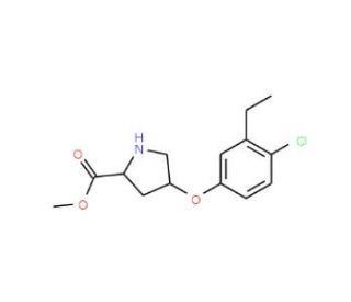 Methyl (2S,4S)-4-(4-chloro-3-ethylphenoxy)-2-pyrrolidinecarboxylate - chemical structure image