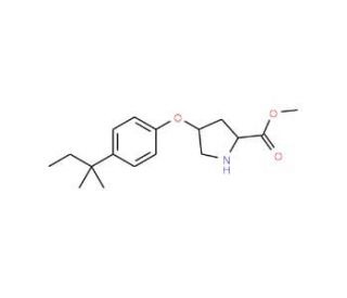 Methyl (2S,4S)-4-[4-(tert-pentyl)phenoxy]-2-pyrrolidinecarboxylate - chemical structure image