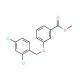 Methyl 3-[(2,4-dichlorobenzyl)oxy]-benzenecarboxylate (CAS 58041-99-9) - chemical structure image
