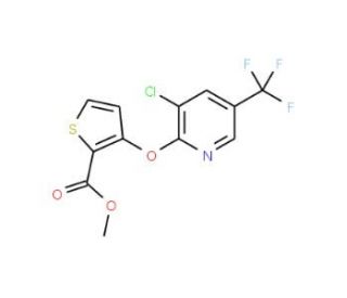 Methyl 3-{[3-chloro-5-(trifluoromethyl)-2-pyridinyl]oxy}-2-thiophenecarboxylate - chemical structure image