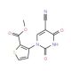 Methyl 3-[5-cyano-2,4-dioxo-3,4-dihydro-1(2H)-pyrimidinyl]-2-thiophenecarboxylate - chemical structure image