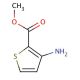 Methyl 3-amino-2-thiophenecarboxylate (CAS 22288-78-4) - chemical structure image