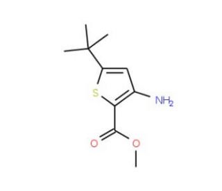 Methyl 3-amino-5-(tert-butyl)thiophene-2-carboxylate (CAS 175137-03-8) - chemical structure image
