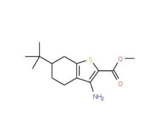 methyl 3-amino-6-tert-butyl-4,5,6,7-tetrahydro-1-benzothiophene-2-carboxylate - chemical structure image