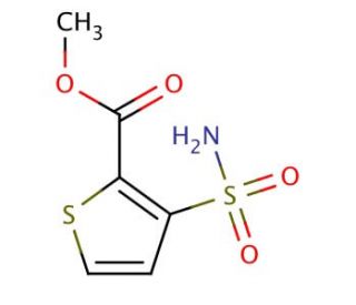 methyl 3-(aminosulfonyl)thiophene-2-carboxylate (CAS 59337-93-8) - chemical structure image