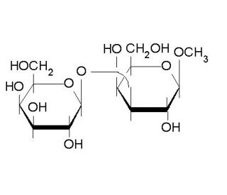 Methyl 3-O-&beta;-D-galactopyranosyl-&beta;-D-galactopyranoside (CAS 81131-46-6) - chemical structure image