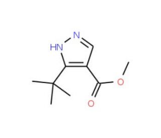 Methyl 3-(tert-butyl)-1H-pyrazole-4-carboxylate (CAS 1017782-45-4) - chemical structure image