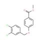Methyl 4-[(3,4-dichlorobenzyl)oxy]-benzenecarboxylate - chemical structure image