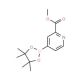 Methyl 4-(4,4,5,5-tetramethyl-1,3,2-dioxaborolan-2-yl)picolinate 的分子结构, CAS编号: 957062-72-5 Methyl 4-(4,4,5,5-tetramethyl-1,3,2-dioxaborolan-2-yl)picolinate (CAS 957062-72-5) - chemical structure image