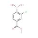 Methyl 4-borono-3-chlorobenzoate (CAS 603122-80-1) - chemical structure image