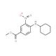 Methyl 4-(cyclohexylamino)-3-nitrobenzenecarboxylate (CAS 503859-26-5) - chemical structure image
