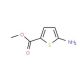 methyl 5-aminothiophene-2-carboxylate (CAS 14597-58-1) - chemical structure image