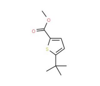 Methyl 5-tert-Butyl-thiophene-2-carboxylate - chemical structure image