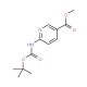 Methyl 6-[(tert-butoxycarbonyl)amino]nicotinate (CAS 144186-11-8) - chemical structure image