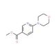 Methyl 6-morpholinonicotinate (CAS 132546-81-7) - chemical structure image