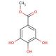 Methyl gallate (CAS 99-24-1) - chemical structure image