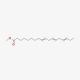 Methyl linolenate 的分子结构, CAS编号: 301-00-8 Methyl linolenate (CAS 301-00-8) - chemical structure image