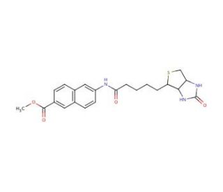 Methyl N-Biotinyl-6-amino-2-naphthonate - chemical structure image