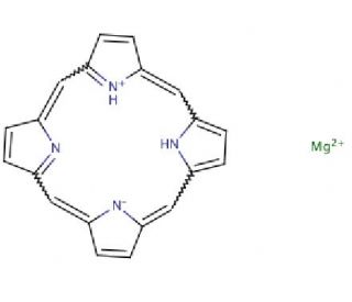 Mg(II) Porphine (CAS 13007-95-9) - chemical structure image