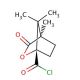 (−)-(1S,4R)-Camphanoyl Chloride (CAS 39637-74-6) - chemical structure image