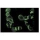MRP1 Antibody (QCRL-3) - Immunofluorescence - Image 11404