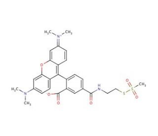 MTS-TAMRA (CAS 1329837-19-5) - chemical structure image