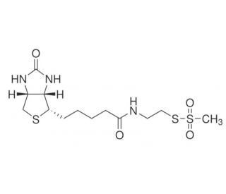 MTSEA Biotin (CAS 162758-04-5) - chemical structure image