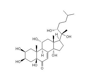 Muristerone A (CAS 38778-30-2) - chemical structure image