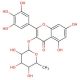 Myricetin 3-Rhamnoside (CAS 17912-87-7) - chemical structure image
