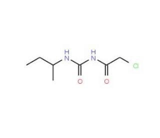 N-[(sec-butylamino)carbonyl]-2-chloroacetamide - chemical structure image