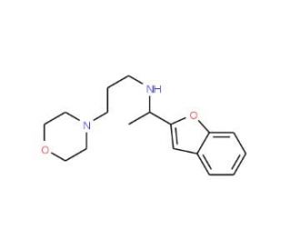 N-[1-(1-Benzofuran-2-yl)ethyl]-N-(3-morpholin-4-ylpropyl)amine - chemical structure image